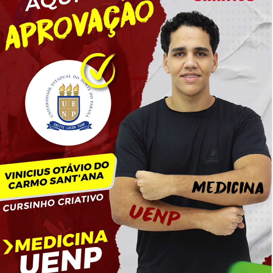 Vinicius Otávio C Sant'ana